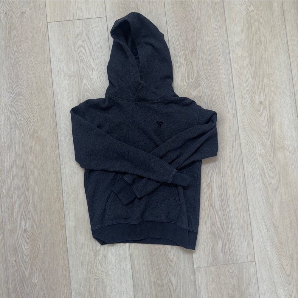 Aritzia TNA Perfect Hoodie